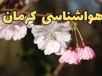 پیش بینی هواشناسی کرمان ۲۴ ساعت آینده | وضعیت آب و هوا کرمان فردا سه شنبه ۱۲ فروردین ماه ۱۴۰۴ | آب و هوای کرمان در روز ۱۳ بدر 