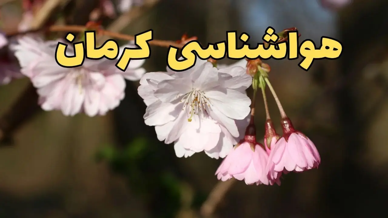 خبر فوری از پیش بینی هواشناسی کرمان ۲۴ ساعت آینده اعلام شد | وضعیت آب و هوا کرمان فردا شنبه ۳۰ فروردین ماه ۱۴۰۴ | آب و هوای کرمان
