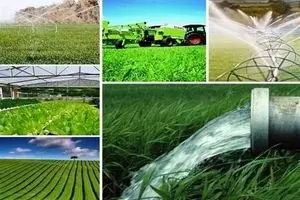 حسین شنوایی: روستاهای تولیدمحور در خط مقدم امنیت غذایی و پایداری ملی قرار دارند