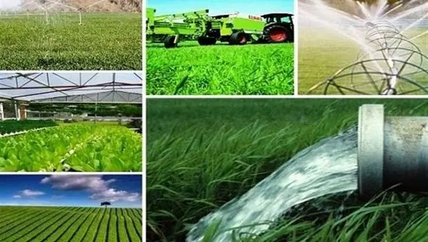 حسین شنوایی: روستاهای تولیدمحور در خط مقدم امنیت غذایی و پایداری ملی قرار دارند