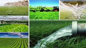 حسین شنوایی: روستاهای تولیدمحور در خط مقدم امنیت غذایی و پایداری ملی قرار دارند