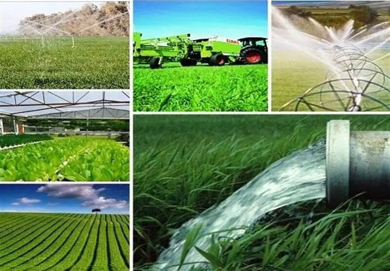 حسین شنوایی: روستاهای تولیدمحور در خط مقدم امنیت غذایی و پایداری ملی قرار دارند