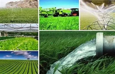 حسین شنوایی: روستاهای تولیدمحور در خط مقدم امنیت غذایی و پایداری ملی قرار دارند