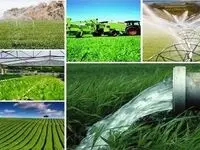 حسین شنوایی: روستاهای تولیدمحور در خط مقدم امنیت غذایی و پایداری ملی قرار دارند