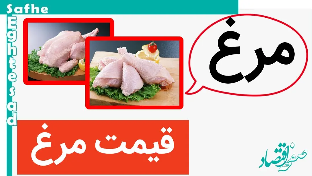 قیمت انواع گوشت مرغ بسته بندی و قطعه بندی امروز یکشنبه ۲۵ آذر ۱۴۰۳