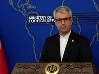 بقائی: پیشنهاد صلح ایران معقول و سخاوتمندانه بود/ آمریکا اسیر توهمات اسرائیل است