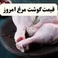 قیمت سینه مرغ | قیمت ران | قیمت فیله مرغ | قیمت انواع مرغ امروز جمعه ۲۳ خرداد ۱۴۰۴ + جدول قیمت