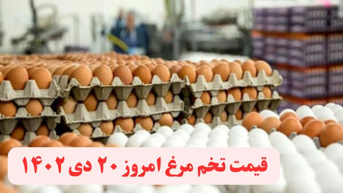 قیمت تخم مرغ امروز چهارشنبه ۲۰ دی ماه ۱۴۰۲