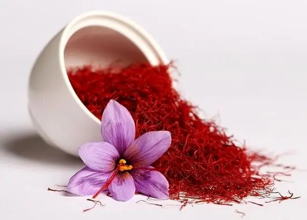 صعود نجومی قیمت زعفران در این مدت