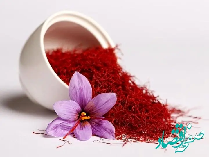 صعود نجومی قیمت زعفران در این مدت
