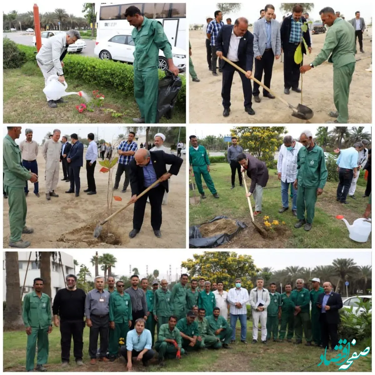 گرامیداشت روز درختکاری با توسعه فضای سبز در شرکت پالایش نفت بندرعباس