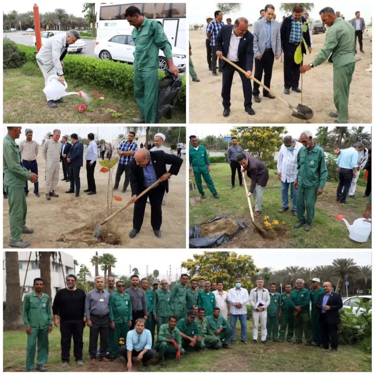 گرامیداشت روز درختکاری با توسعه فضای سبز در شرکت پالایش نفت بندرعباس