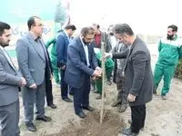 مراسم غرس نهال در منطقه آزاد انزلی برگزار شد