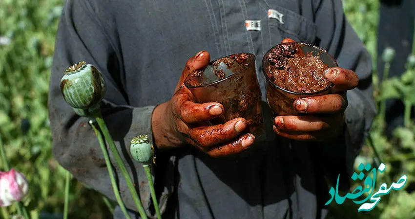 مردم کدام شهر بیشتر تریاک می‌کشند؟