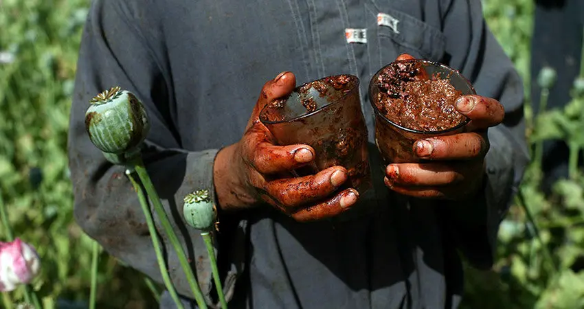 مردم کدام شهر بیشتر تریاک می‌کشند؟