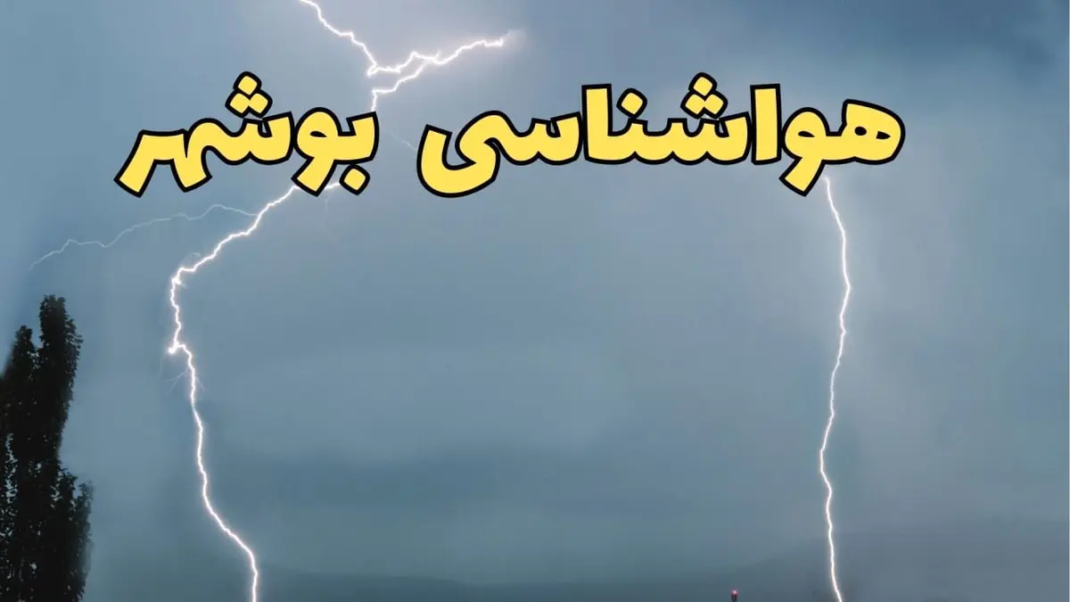 پیش بینی وضعیت آب و هوا بوشهر فردا جمعه ۲۴ اسفند ماه ۱۴۰۳ | اخبار پیش بینی هواشناسی بوشهر فردا 