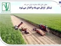 «نیشکر» اوایل دی‌ماه واگذار می‌شود