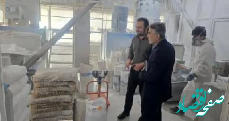 برنامه های حمایتی بانک توسعه صادرات ایران برای صنایع صادراتی استان اردبیل