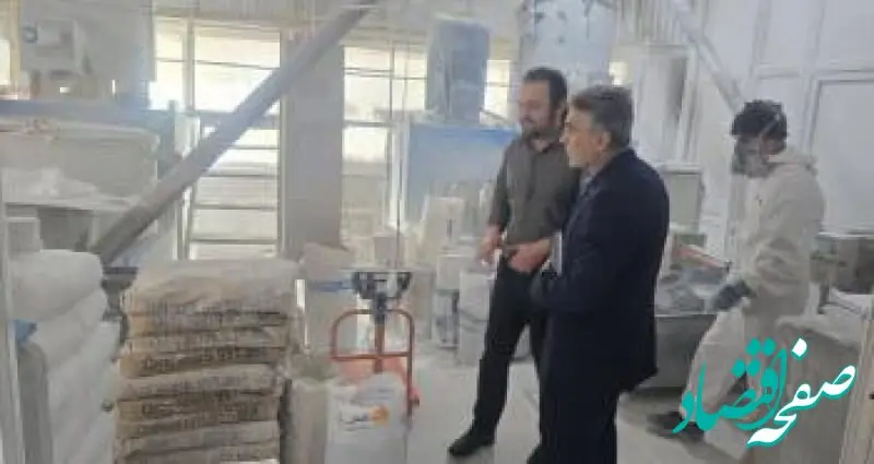 برنامه های حمایتی بانک توسعه صادرات ایران برای صنایع صادراتی استان اردبیل