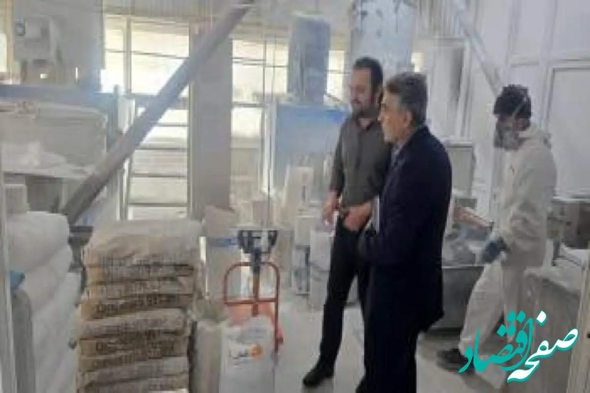 برنامه های حمایتی بانک توسعه صادرات ایران برای صنایع صادراتی استان اردبیل