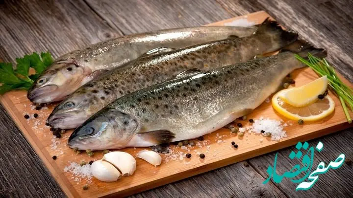 قیمت میگو | قیمت ماهی سفید | قیمت ماهی قزل آلا | قیمت انواع ماهی ۱۱ خرداد ۱۴۰۴ + جدول قیمت