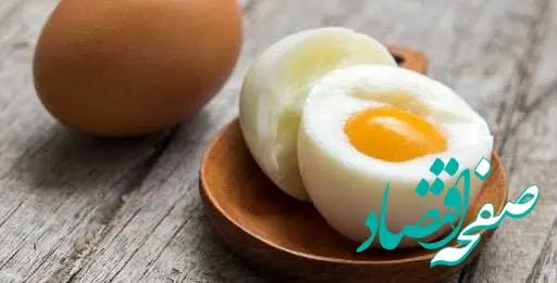 قیمت تخم مرغ امروز یکشنبه ۲۸ مرداد ۱۴۰۳