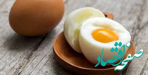 قیمت هر دانه و شانه تخم مرغ امروز دوشنبه ۳ دی ۱۴۰۳ در بازار تهران