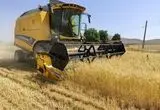 آخرین خبر از خرید تصمینی گندم 