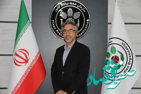 با هجوم این مگس ها باغ‌های غرب گلستان در وضعیت هشدار قرار گرفتند