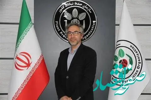 با هجوم این مگس ها باغ‌های غرب گلستان در وضعیت هشدار قرار گرفتند