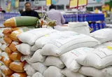 گرانی برنج به علت احتکار است و ربطی به ارز ندارد