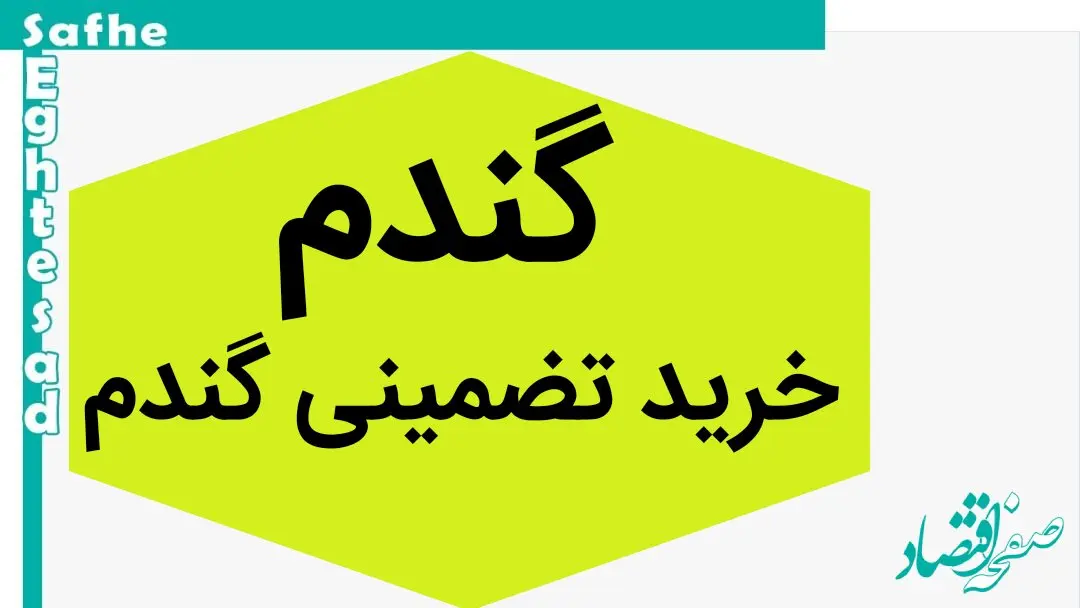 خبر داغ از خرید تضمینی گندم و مطالبات گندمکاران استان ها