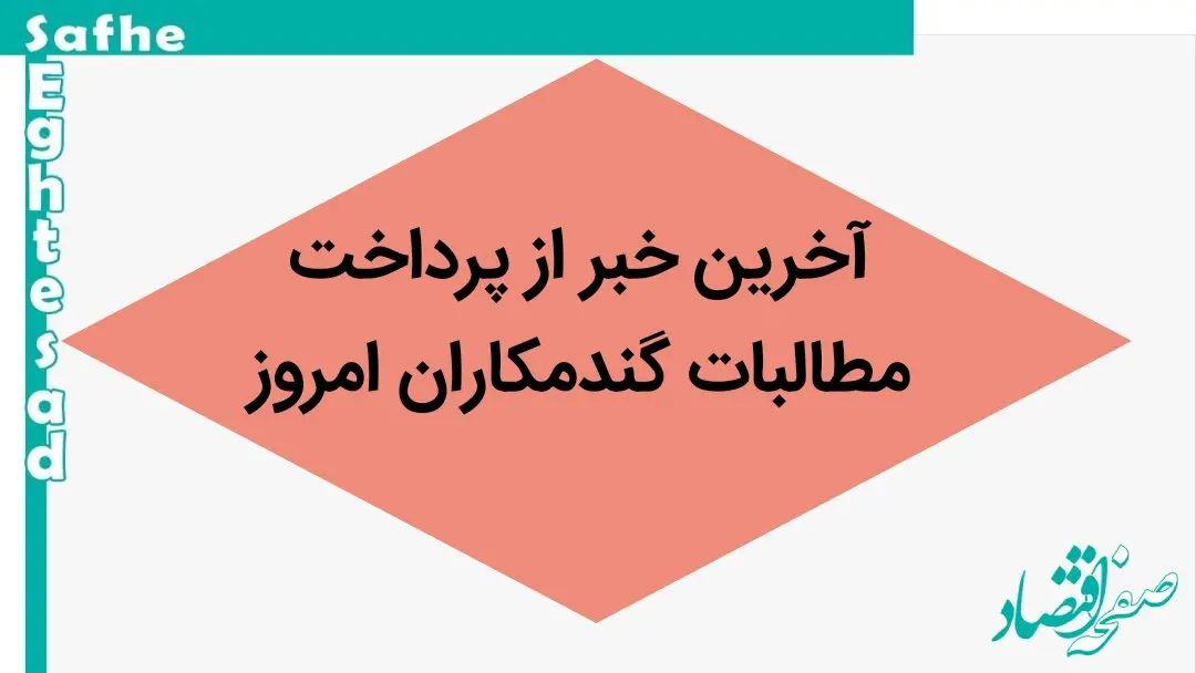 خبر داغ از پرداخت مطالبات گندمکاران امروز پنجشنبه ۸ شهریور ۱۴۰۳ 