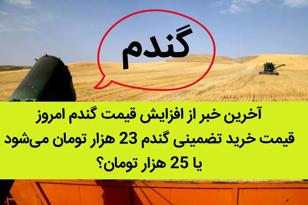 آخرین خبر از افزایش قیمت گندم امروز 7 شهریور ماه 1402 | در سال زراعی 1402-1403 قیمت خرید تضمینی گندم 23 هزار تومان می‌شود یا 25 هزار تومان؟ 
