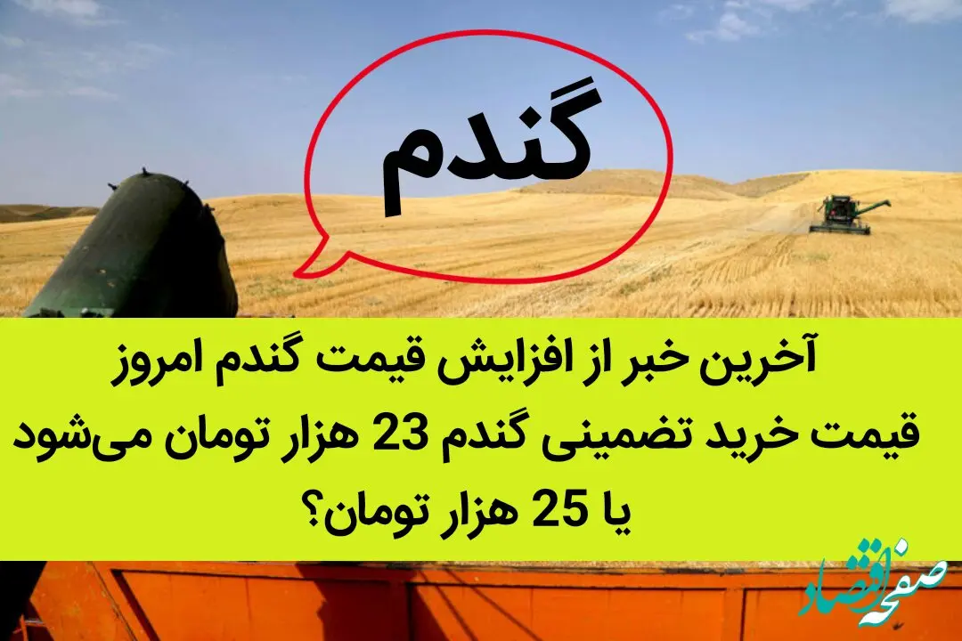 آخرین خبر از افزایش قیمت گندم امروز 7 شهریور ماه 1402 | در سال زراعی 1402-1403 قیمت خرید تضمینی گندم 23 هزار تومان می‌شود یا 25 هزار تومان؟ 

