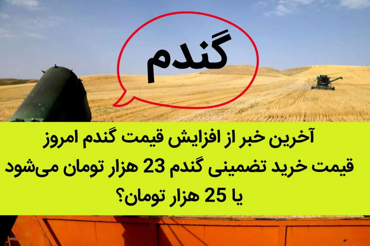آخرین خبر از افزایش قیمت گندم امروز 7 شهریور ماه 1402 | در سال زراعی 1402-1403 قیمت خرید تضمینی گندم 23 هزار تومان می‌شود یا 25 هزار تومان؟ 
