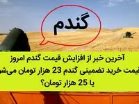 آخرین خبر از افزایش قیمت گندم امروز 7 شهریور ماه 1402 | در سال زراعی 1402-1403 قیمت خرید تضمینی گندم 23 هزار تومان می‌شود یا 25 هزار تومان؟ 
