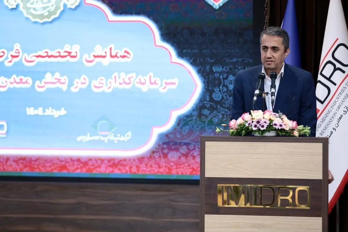 علاوه بر حوزه سنگ آهن و فولاد، این سازمان برنامه تسهیل سرمایه گذاری در حوزه های سیلیکون ، طلا و مس که نیاز کمتری به نسبت فولاد، به برق دارند را در دستور کار دارد