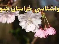 پیش بینی هواشناسی بیرجند ۲۴ ساعت آینده | وضعیت آب و هوا خراسان جنوبی فردا سه شنبه ۱۲ فروردین ماه ۱۴۰۴ | آب و هوای بیرجند در روز ۱۳ بدر + هواشناسی خراسان جنوبی