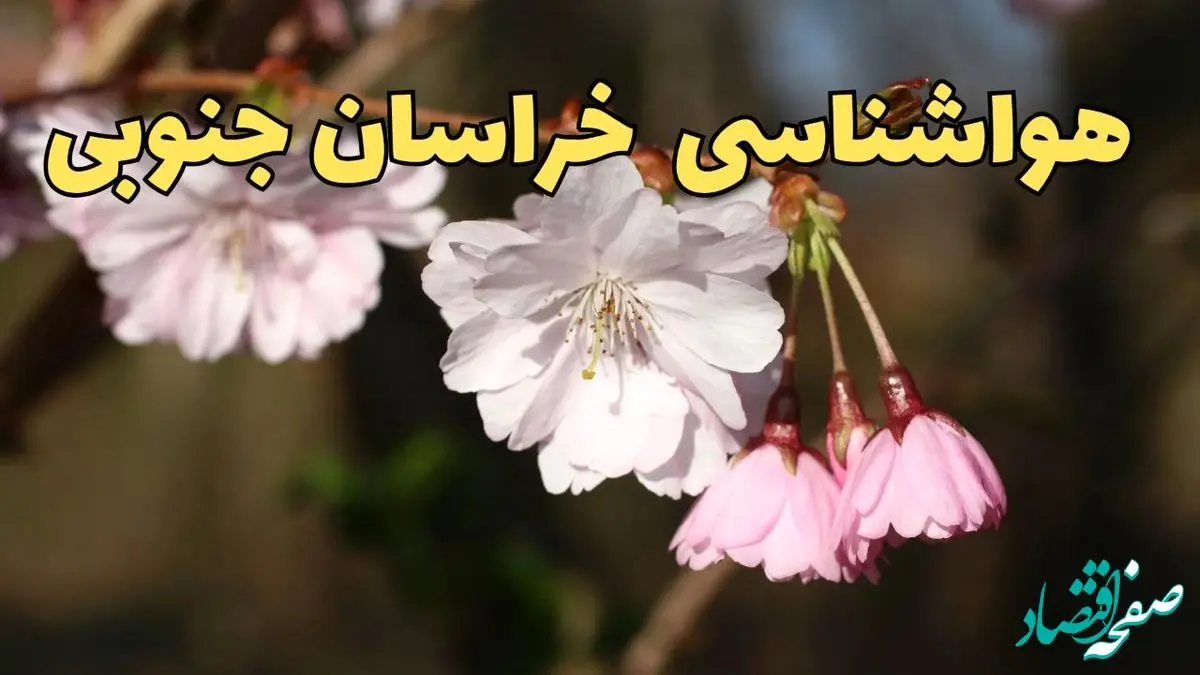 پیش بینی هواشناسی بیرجند ۲۴ ساعت آینده | وضعیت آب و هوا خراسان جنوبی فردا سه شنبه ۱۲ فروردین ماه ۱۴۰۴ | آب و هوای بیرجند در روز ۱۳ بدر + هواشناسی خراسان جنوبی