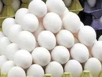 آخرین قیمت تخم مرغ امروز چهارشنبه ۱۹ دی ۱۴۰۳