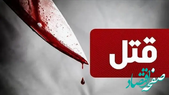 مسافر ایرانی، راننده تاکسی ترکیه‌ای را... 