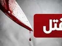مسافر ایرانی، راننده تاکسی ترکیه‌ای را... 