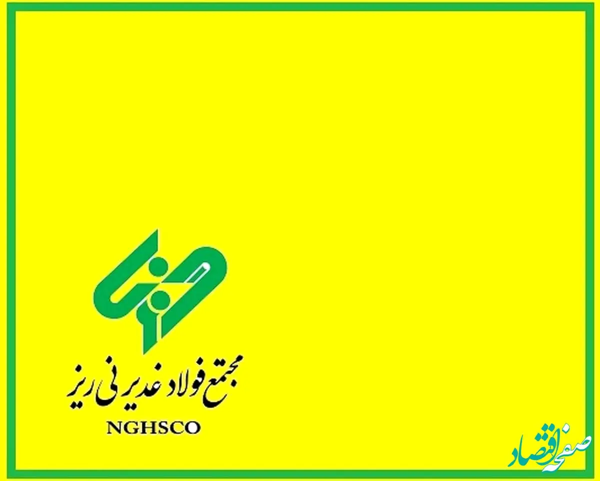 چرا دولت به سراغ واگذاری سهام خود در «فولاد غدیر نی ریز» رفته است؟