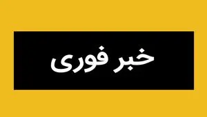خبر فوری؛ دکتر صدیقی صابر به همراه پسرش ترور شد / سید محمدرضا صدیقی صابر که بود؟ 