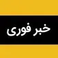 خبر فوری؛ دکتر صدیقی صابر به همراه پسرش ترور شد / سید محمدرضا صدیقی صابر که بود؟ 