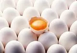 خبر مهم برای تولیدکنندگان تخم مرغ | خرید حمایتی آغاز شد