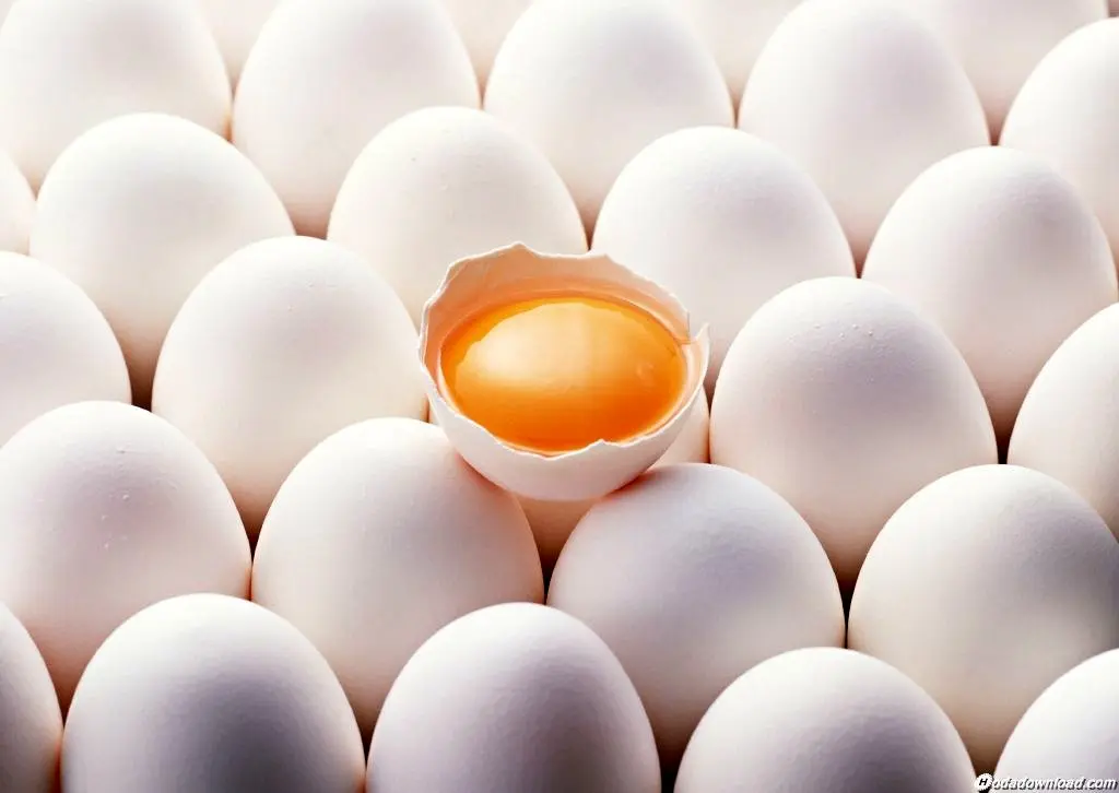 قیمت تخم مرغ درب واحدهای تولیدی چقدر شد؟