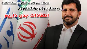 به عملکرد وزیر جهادکشاورزی انتقادات جدی داریم