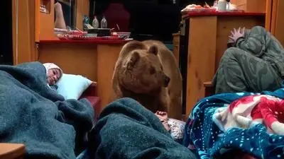 دلایل رکورد زدن سریال پایتخت ۷ ؛ خانواده معمولی در قسمت ۲۰ سنگ تمام گذاشتند!